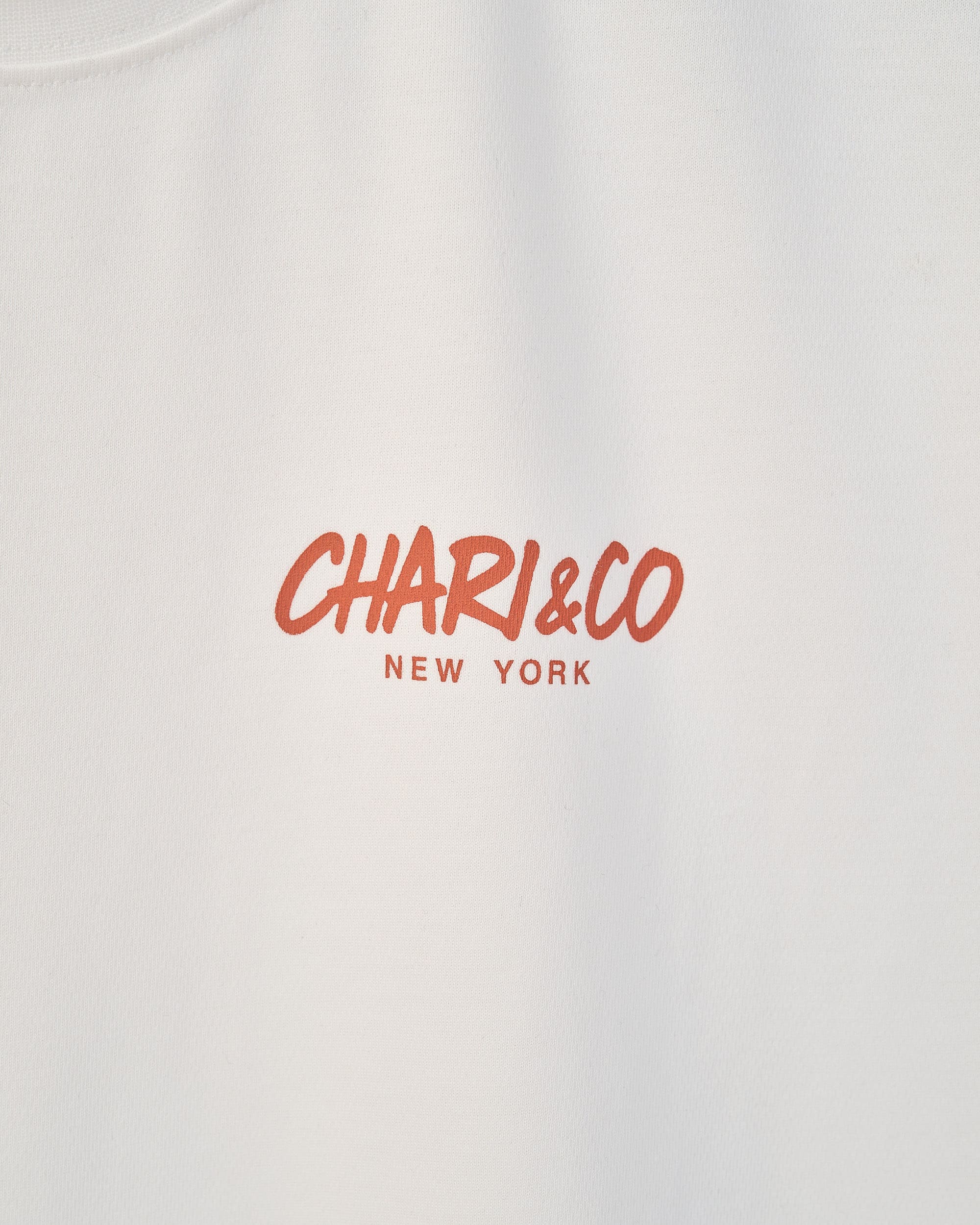 【6月初旬発売予定】FREEHAND SIGN COOLER TEE