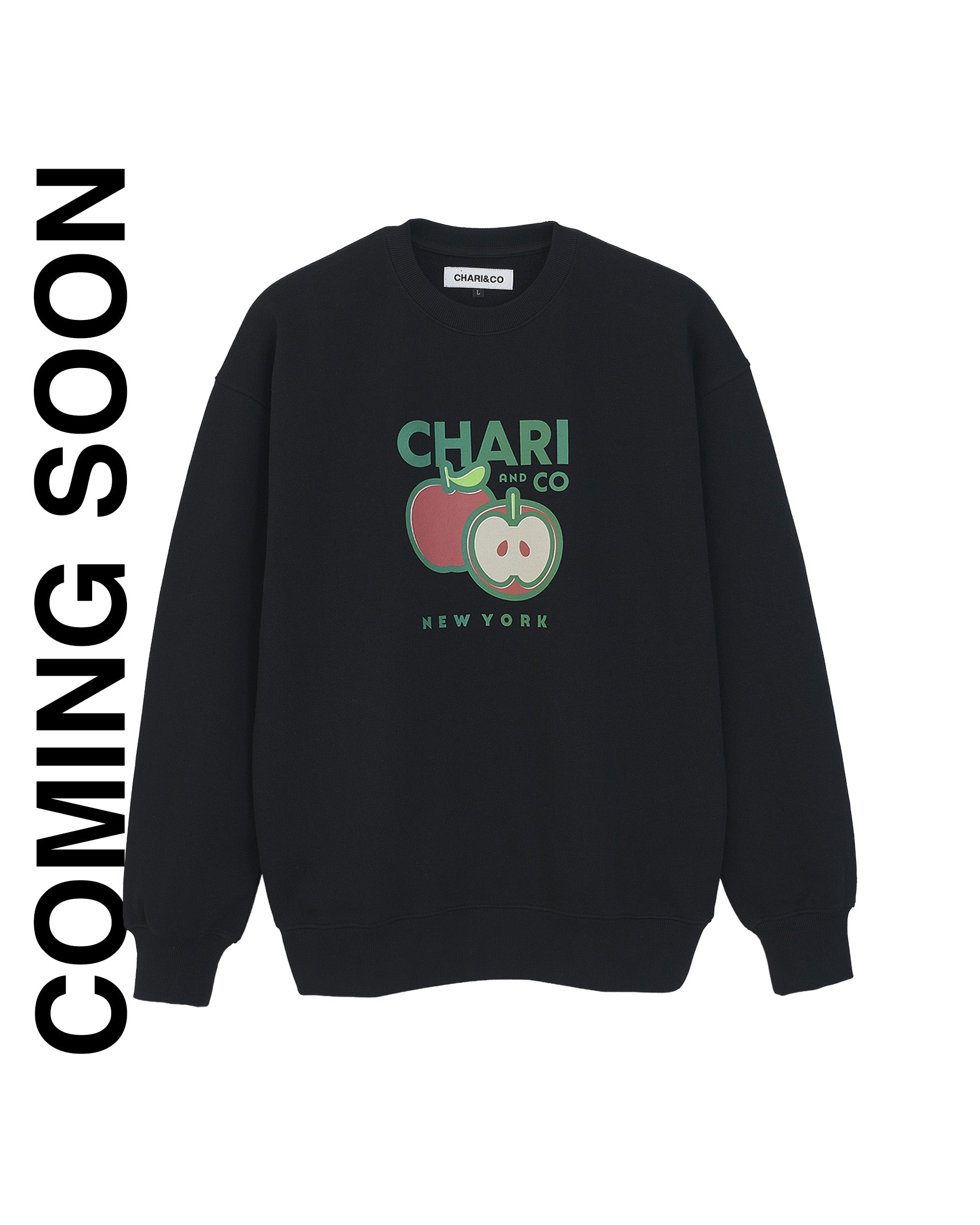 【9月初旬発売】BIG APPLE CITY CREWNECK SWEATS